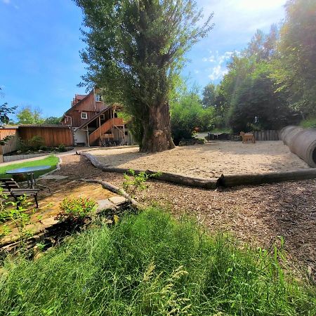 Pferdehof Am Burgsberg, Ferienzimmer, Monteurzimmer Seifhennersdorf Exterior foto